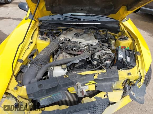 2004 Ford Mustang Deluxe с VIN 1FAFP44604F139064, выставлен на аукционе IAAI как лот 43342376 с пробегом 71 707 миль миль и . История ставок и продаж доступна на DreamBid. Изображение 10.