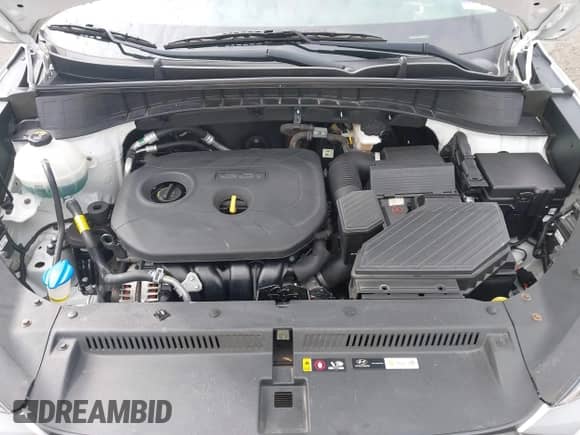 2019 Hyundai Tucson Value с VIN KM8J3CA41KU042828, выставлен на аукционе IAAI как лот 42794802 с пробегом 38 372 миль миль и . История ставок и продаж доступна на DreamBid. Изображение 10.