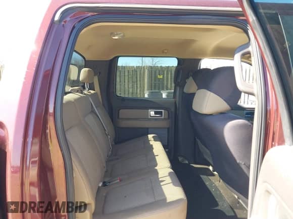 2009 Ford F-150 XL with VIN 1FTRW12819FB47372, listed as a IAAI auction lot 41820816 with 231,408 mi miles and . Bid and sale history available at DreamBid. Image 8.