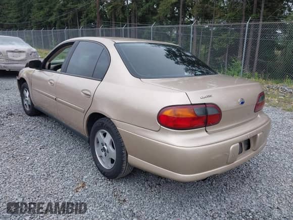 2005 Chevrolet Malibu Classic с VIN 1G1ND52FX5M215869, выставлен на аукционе IAAI как лот 42661096 с пробегом 189 766 миль миль и . История ставок и продаж доступна на DreamBid. Изображение 3.