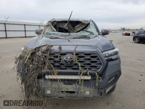 2021 Toyota Tacoma SR with VIN 3TMCZ5AN8MM446037, listed as a Copart auction lot 80966695 with Not provided miles and Salvage title. Bid and sale history available at DreamBid. Image 5.