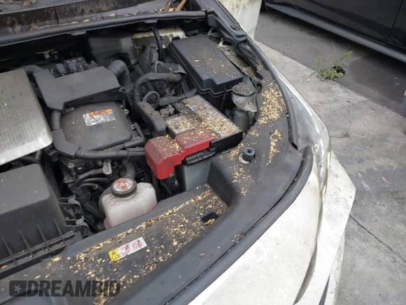 2019 Toyota Prius Plus с VIN JTDKARFP8K3119138, выставлен на аукционе IAAI как лот 42564817 с пробегом 26 200 миль миль и . История ставок и продаж доступна на DreamBid. Изображение 6.