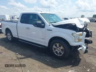 2016 Ford F-150 XL z VIN 1FTEX1CP4GKD61939, wystawiony jako IAAI lot #42744533 z przebiegiem 124 395 mil mil oraz . Historia ofert i sprzedaży dostępna na DreamBid. Obrazek 1.