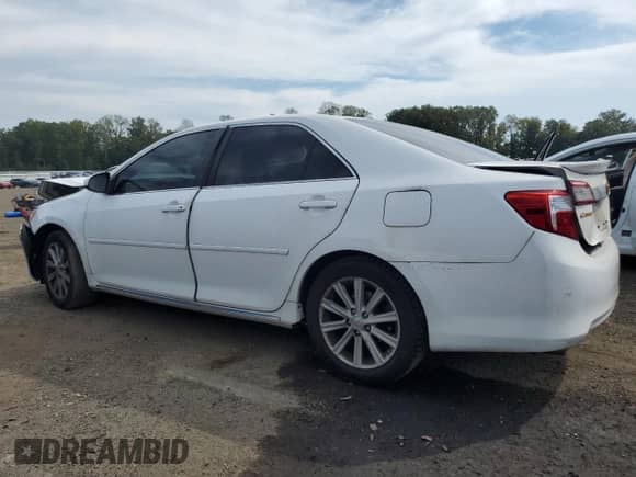 2014 Toyota Camry SE with VIN 4T1BK1FK3EU537409, listed as a Copart auction lot 80727585 with 238,394 mi miles and Salvage title. Bid and sale history available at DreamBid. Image 2.