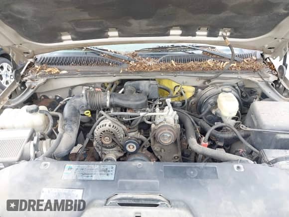 2005 GMC Sierra 1500 Work Truck z VIN 1GTEC14X15Z329738, wystawiony jako IAAI lot #42233810 z przebiegiem 184 120 mil mil oraz . Historia ofert i sprzedaży dostępna na DreamBid. Obrazek 10.