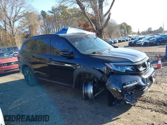 2022 Honda Pilot TrailSport with VIN 5FNYF6H86NB079584, listed as a IAAI auction lot 41099964 with 17,343 mi miles and . Bid and sale history available at DreamBid. Image 1.