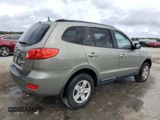 2009 Hyundai Santa Fe GLS with VIN 5NMSG13D79H319658, listed as a Copart auction lot 84066685 with 143,461 mi miles and Salvage title. Bid and sale history available at DreamBid. Image 3.