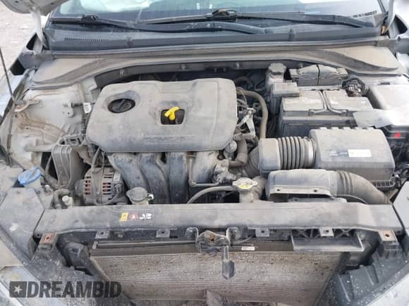 2019 Hyundai Elantra SE with VIN 5NPD74LF8KH419238, listed as a IAAI auction lot 43264675 with 121,967 mi miles and . Bid and sale history available at DreamBid. Image 10.