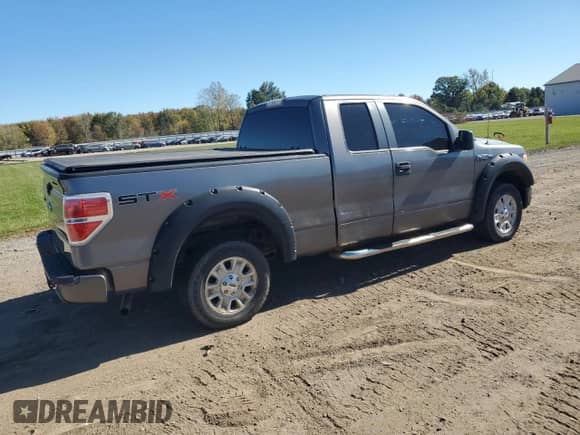 2010 Ford F-150 XL with VIN 1FTEX1CW3AFC95830, listed as a Copart auction lot 82580485 with 152,927 mi miles and Clean title. Bid and sale history available at DreamBid. Image 3.