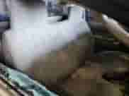 2002 Toyota Tacoma with VIN 5TENL42N72Z087380, listed as a Copart auction lot 84454855 with 291,069 mi miles and Salvage title. Bid and sale history available at DreamBid. Image 10.