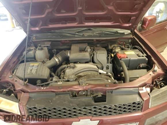 2009 Chevrolet Colorado 1LT with VIN 1GCDT13E398126079, listed as a Copart auction lot 69186925 with 113,268 mi miles and Salvage title. Bid and sale history available at DreamBid. Image 11.