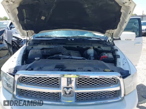 2009 Dodge 1500 Sport with VIN 1D3HB13T19S794525, listed as a IAAI auction lot 42052170 with 223,113 mi miles and . Bid and sale history available at DreamBid. Image 10.