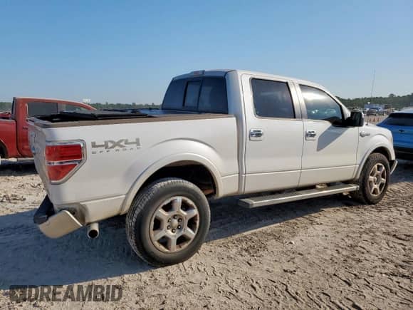 2013 Ford F-150 XLT with VIN 1FTFW1EF2DKG47327, listed as a Copart auction lot 85078725 with 257,080 mi miles and Salvage title. Bid and sale history available at DreamBid. Image 3.