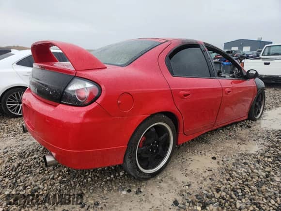 2003 Dodge Neon SRT-4 with VIN 1B3ES66S53D217215, listed as a Copart auction lot 84574335 with Not provided miles and Salvage title. Bid and sale history available at DreamBid. Image 3.