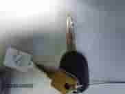 2005 Ford F-150 XLT with VIN 1FTRX12565KE53472, listed as a IAAI auction lot 43358301 with 195,394 mi miles and . Bid and sale history available at DreamBid. Image 11.