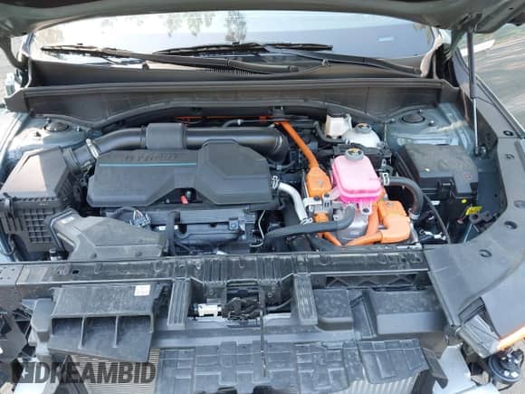 2025 Kia Sorento SX Prestige with VIN KNDRKDJG7S5305800, listed as a IAAI auction lot 43160232 with 19,176 mi miles and . Bid and sale history available at DreamBid. Image 10.