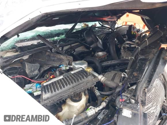 1998 Chevrolet S-10 LS with VIN 1GCCS19X2W8244465, listed as a IAAI auction lot 41546730 with Not provided miles and . Bid and sale history available at DreamBid. Image 19.