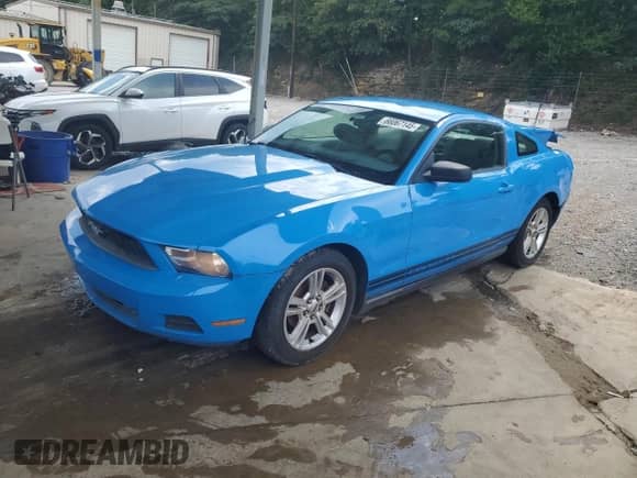 2010 Ford Mustang V6 z VIN 1ZVBP8AN8A5130882, wystawiony jako Copart lot #66067145 z przebiegiem 153 046 mil mil oraz Szkoda całkowita • Salvage title. Historia ofert i sprzedaży dostępna na DreamBid. Obrazek 1.