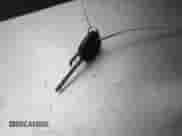 2003 Saturn VUE with VIN 5GZCZ33D63S911119, listed as a IAAI auction lot 41896242 with 17,913 mi miles and . Bid and sale history available at DreamBid. Image 11.