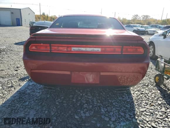 2009 Dodge Challenger R/T with VIN 2B3LJ54T69H510133, listed as a Copart auction lot 87464485 with 116,065 mi miles and Clean title. Bid and sale history available at DreamBid. Image 6.