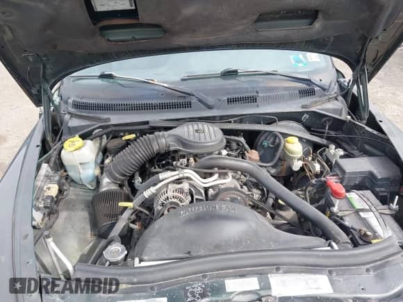 1997 Dodge Dakota z VIN 1B7GG23X1VS211394, wystawiony jako IAAI lot #41723088 z przebiegiem 124 104 mil mil oraz . Historia ofert i sprzedaży dostępna na DreamBid. Obrazek 10.