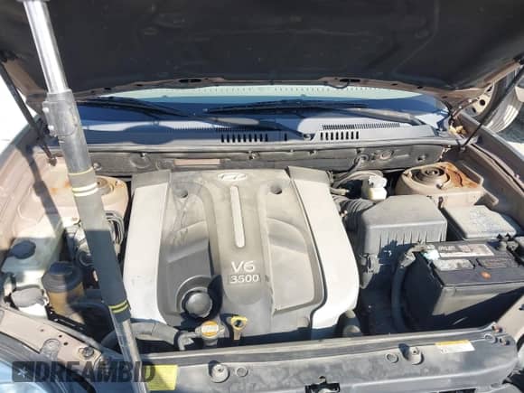 2006 Hyundai Santa Fe GLS with VIN KM8SC73E56U073524, listed as a IAAI auction lot 43255463 with 206,064 mi miles and . Bid and sale history available at DreamBid. Image 10.