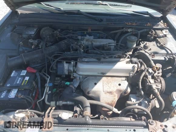 1996 Honda Accord LX with VIN 1HGCD563XTA292224, listed as a IAAI auction lot 43216693 with 214,313 mi miles and . Bid and sale history available at DreamBid. Image 10.