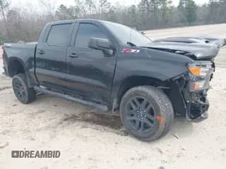 2024 Chevrolet Silverado 1500 Custom Trail Boss with VIN 3GCUDCED1RG202440, listed as a IAAI auction lot 41795793 with Not provided miles and . Bid and sale history available at DreamBid. Image 1.