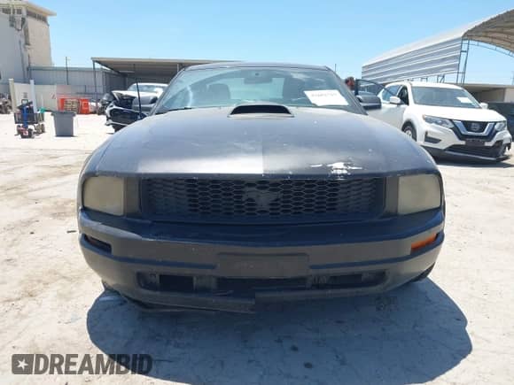 2006 Ford Mustang Standard с VIN 1ZVHT80N565154958, выставлен на аукционе IAAI как лот 42802717 с пробегом 340 826 миль миль и . История ставок и продаж доступна на DreamBid. Изображение 13.