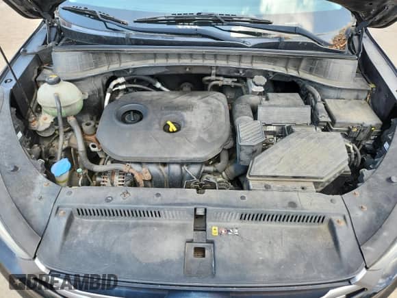 2016 Hyundai Tucson SE with VIN KM8J33A42GU053716, listed as a Copart auction lot 64896245 with Not provided miles and Clean title. Bid and sale history available at DreamBid. Image 11.