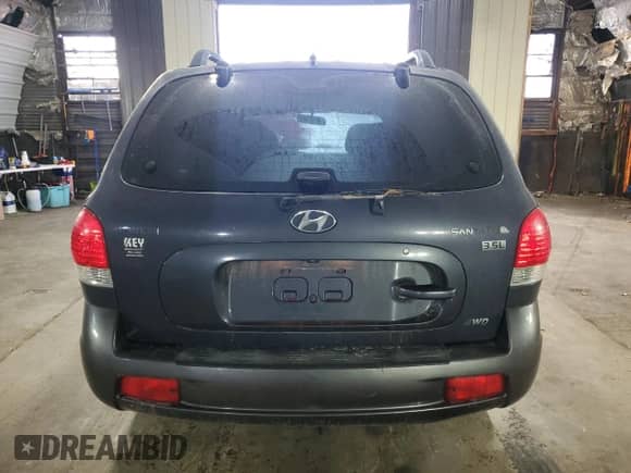 2005 Hyundai Santa Fe GLS with VIN KM8SC73E05U981832, listed as a Copart auction lot 48739665 with 164,473 mi miles and Salvage title. Bid and sale history available at DreamBid. Image 6.