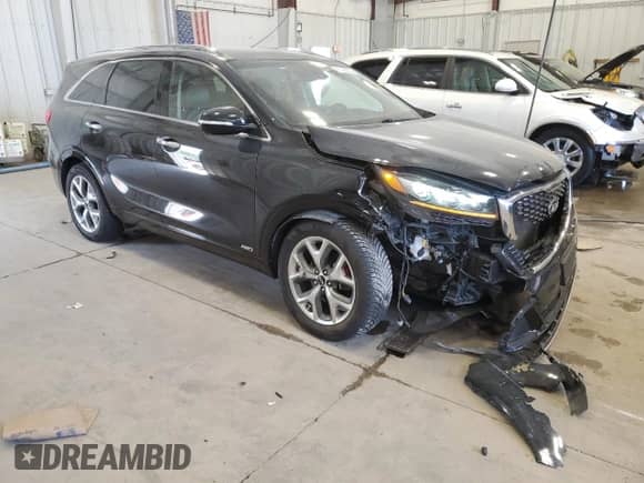 2019 Kia Sorento SX Limited with VIN 5XYPKDA51KG500451, listed as a Copart auction lot 61196805 with 54,376 mi miles and Salvage title. Bid and sale history available at DreamBid. Image 4.