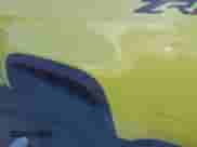 2018 Chevrolet Colorado 4WD ZR2 с VIN 1GCGTEEN6J1169183, выставлен на аукционе IAAI как лот 43286177 с пробегом 7 824 миль миль и . История ставок и продаж доступна на DreamBid. Изображение 6.
