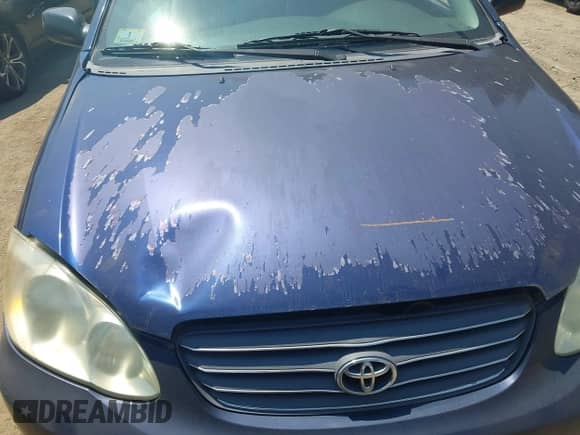 2003 Toyota Corolla LE with VIN JTDBR32E330033183, listed as a IAAI auction lot 42861267 with 241,906 mi miles and . Bid and sale history available at DreamBid. Image 6.