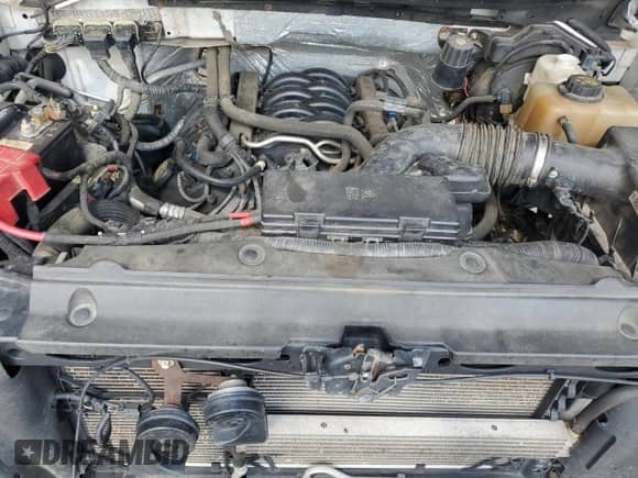 2013 Ford F-150 XL z VIN 1FTFX1EFXDKE78364, wystawiony jako Copart lot #68697825 z przebiegiem 210 549 mil mil oraz Szkoda całkowita • Salvage title. Historia ofert i sprzedaży dostępna na DreamBid. Obrazek 11.