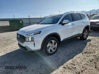 2023 Hyundai Santa Fe SEL с VIN 5NMS2DAJ7PH539579, выставлен на аукционе Copart как лот 80334795 с пробегом 38 968 миль миль и Списание • Salvage title. История ставок и продаж доступна на DreamBid. Изображение 1.