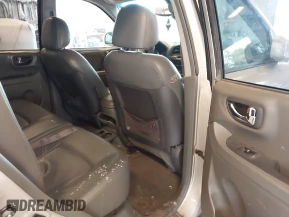 2003 Hyundai Santa Fe LX с VIN KM8SC73E53U531087, выставлен на аукционе IAAI как лот 43283614 с пробегом 212 129 миль миль и . История ставок и продаж доступна на DreamBid. Изображение 8.