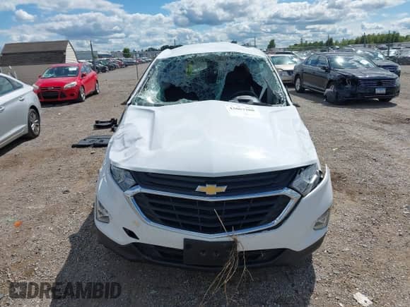 2021 Chevrolet Equinox LS z VIN 3GNAXSEV1MS178313, wystawiony jako IAAI lot #43067208 z przebiegiem 68 371 mil mil oraz . Historia ofert i sprzedaży dostępna na DreamBid. Obrazek 12.