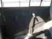 2016 Ram 1500 Express с VIN 3C6JR6AG9GG326109, выставлен на аукционе Copart как лот 81267934 с пробегом 56 161 миль миль и Списание • Salvage title. История ставок и продаж доступна на DreamBid. Изображение 10.