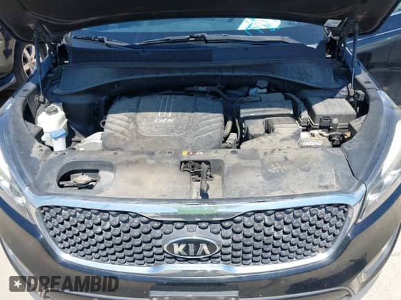 2016 Kia Sorento EX with VIN 5XYPH4A53GG095974, listed as a IAAI auction lot 43137350 with 127,658 mi miles and . Bid and sale history available at DreamBid. Image 10.