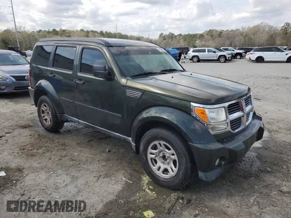 2010 Dodge Nitro SE with VIN 1D4PT2GK5AW124730, listed as a Copart auction lot 49146165 with 142,706 mi miles and Salvage title. Bid and sale history available at DreamBid. Image 4.