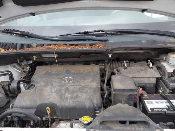 2012 Toyota Sienna SE with VIN 5TDXK3DC2CS179657, listed as a IAAI auction lot 43438594 with 126,552 mi miles and . Bid and sale history available at DreamBid. Image 10.
