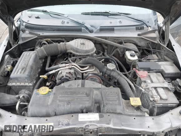 2002 Dodge Dakota с VIN 1B7GL12X22S644306, выставлен на аукционе IAAI как лот 41826999 с пробегом 198 069 миль миль и . История ставок и продаж доступна на DreamBid. Изображение 10.