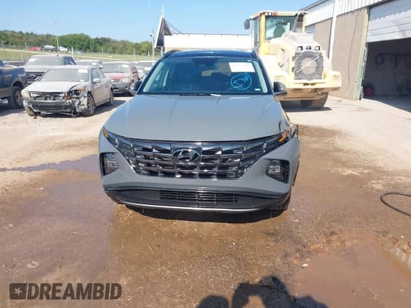 2024 Hyundai Tucson Limited with VIN 5NMJECDE9RH354609, listed as a IAAI auction lot 43155306 with 39,951 mi miles and . Bid and sale history available at DreamBid. Image 13.