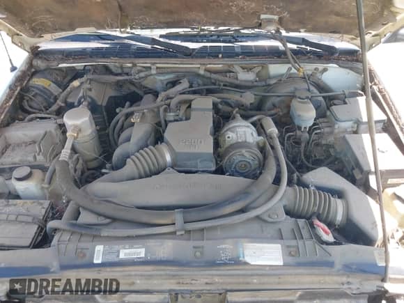 1998 Chevrolet S-10 LS с VIN 1GCCS1441WK129484, выставлен на аукционе IAAI как лот 42627432 с пробегом 237 428 миль миль и . История ставок и продаж доступна на DreamBid. Изображение 10.