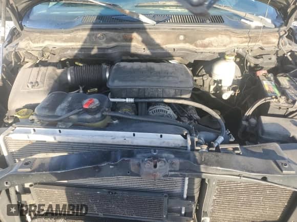 2002 Dodge 1500 z VIN 1D7HA16N22J244325, wystawiony jako Copart lot #66721725 z przebiegiem 219 588 mil mil oraz Szkoda całkowita • Salvage title. Historia ofert i sprzedaży dostępna na DreamBid. Obrazek 11.