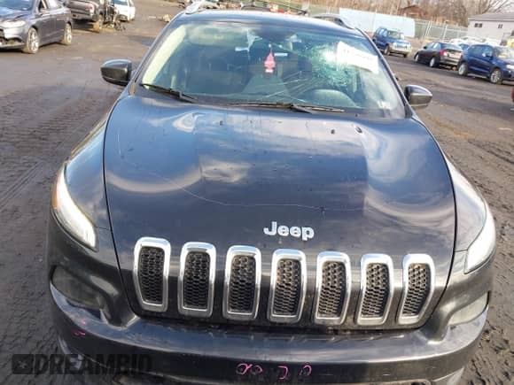 2016 Jeep Cherokee Latitude с VIN 1C4PJMCB6GW345413, выставлен на аукционе IAAI как лот 41216995 с пробегом 254 311 миль миль и . История ставок и продаж доступна на DreamBid. Изображение 12.