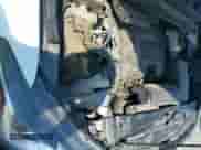 2017 Nissan Pathfinder Platinum с VIN 5N1DR2MN9HC601874, выставлен на аукционе IAAI как лот 42275736 с пробегом 169 467 миль миль и . История ставок и продаж доступна на DreamBid. Изображение 20.