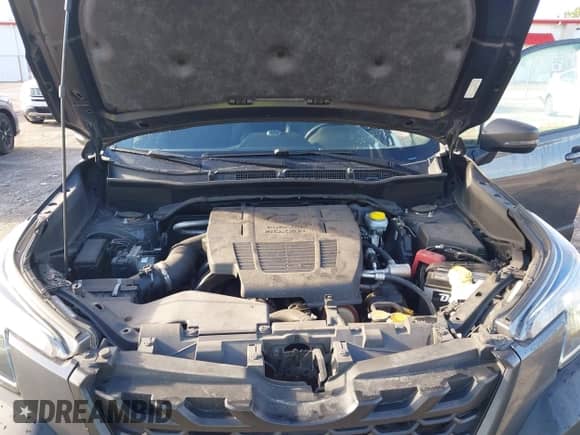 2022 Subaru Forester Wilderness with VIN JF2SKAMC4NH423882, listed as a IAAI auction lot 43272111 with 77,225 mi miles and . Bid and sale history available at DreamBid. Image 10.