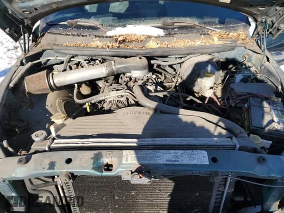 1999 Dodge 1500 with VIN 3B7HC12Y8XG208040, listed as a Copart auction lot 86807104 with 387,576 mi miles and Salvage title. Bid and sale history available at DreamBid. Image 11.